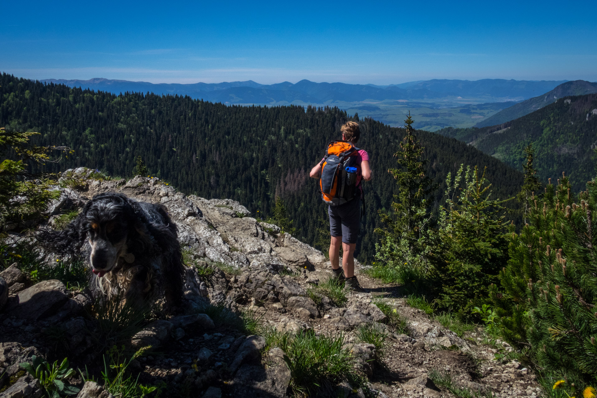 Sivý vrch od horárne Biela skala (Západné Tatry)