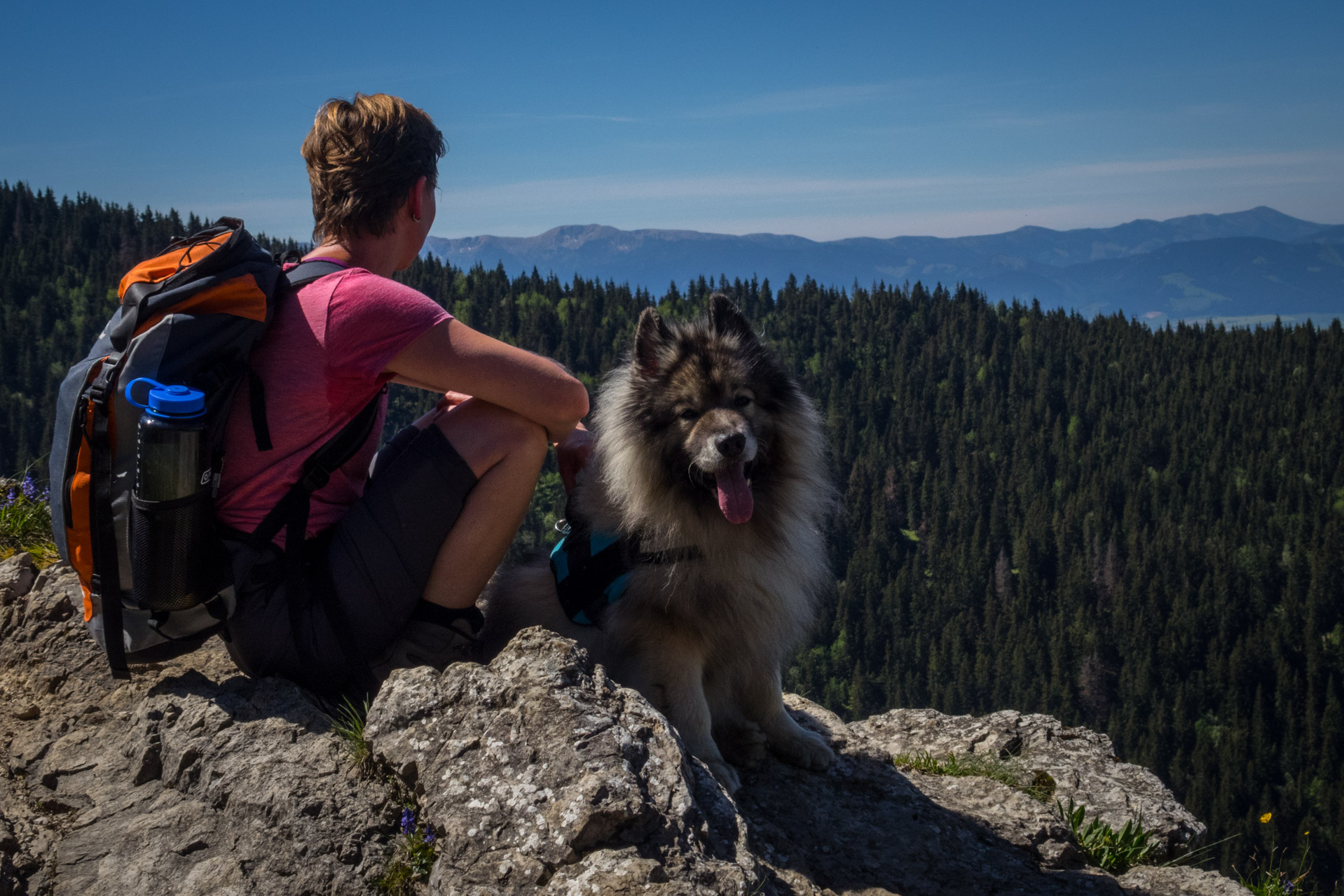 Sivý vrch od horárne Biela skala (Západné Tatry)