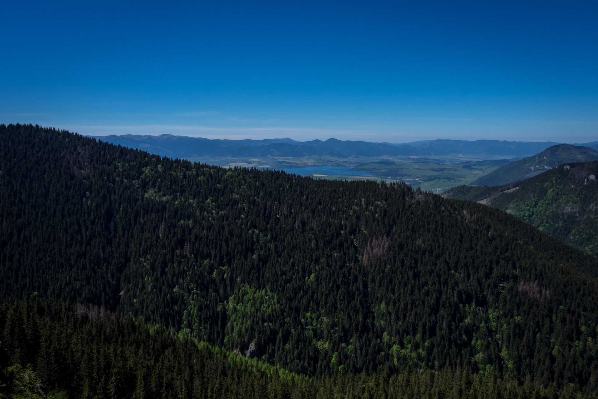 Sivý vrch od horárne Biela skala (Západné Tatry)