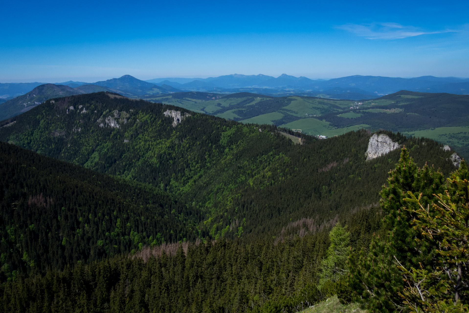 Sivý vrch od horárne Biela skala (Západné Tatry)