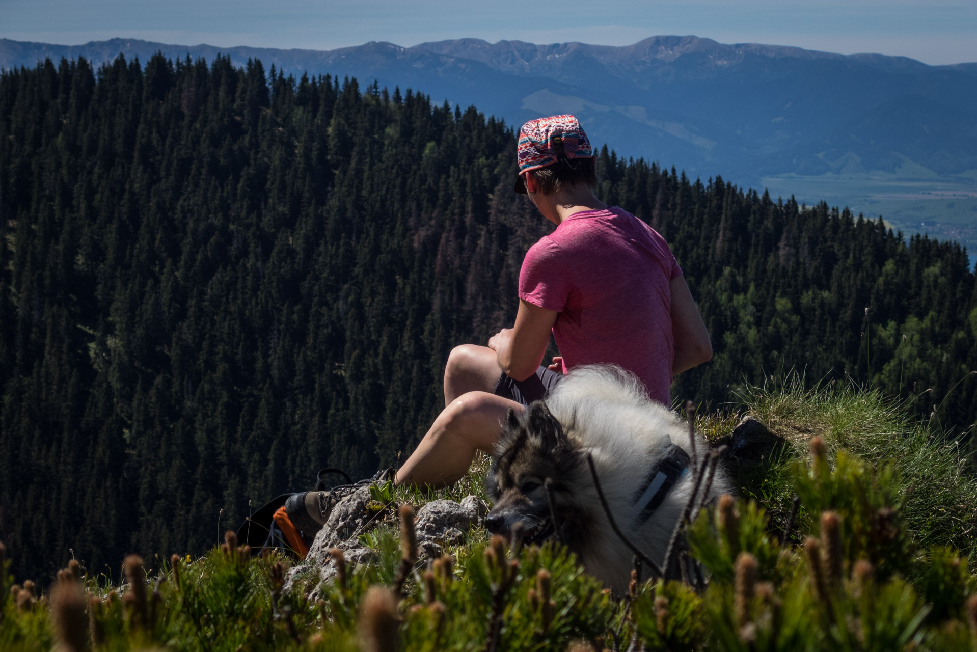 Sivý vrch od horárne Biela skala (Západné Tatry)