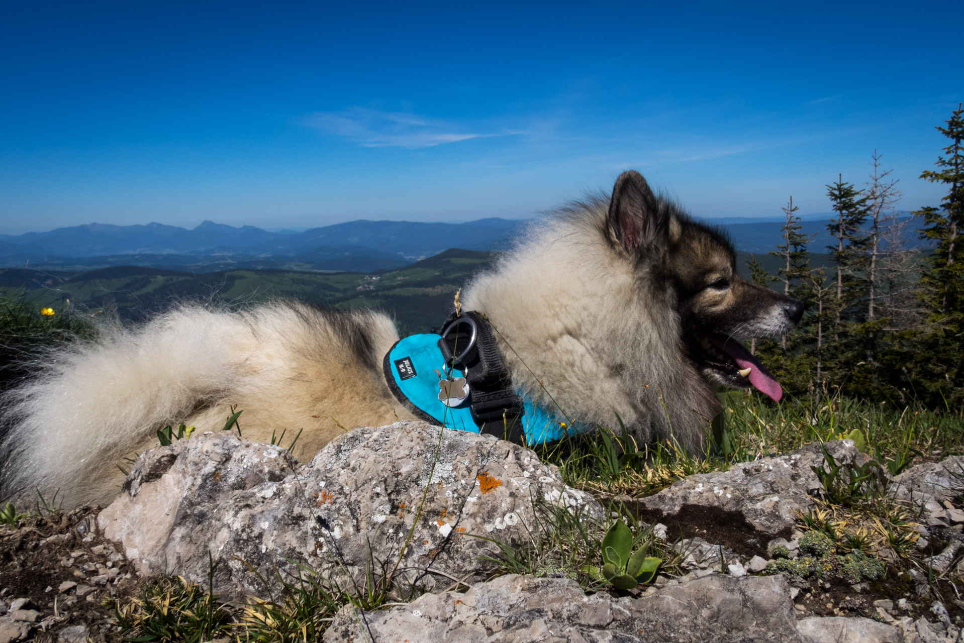 Sivý vrch od horárne Biela skala (Západné Tatry)