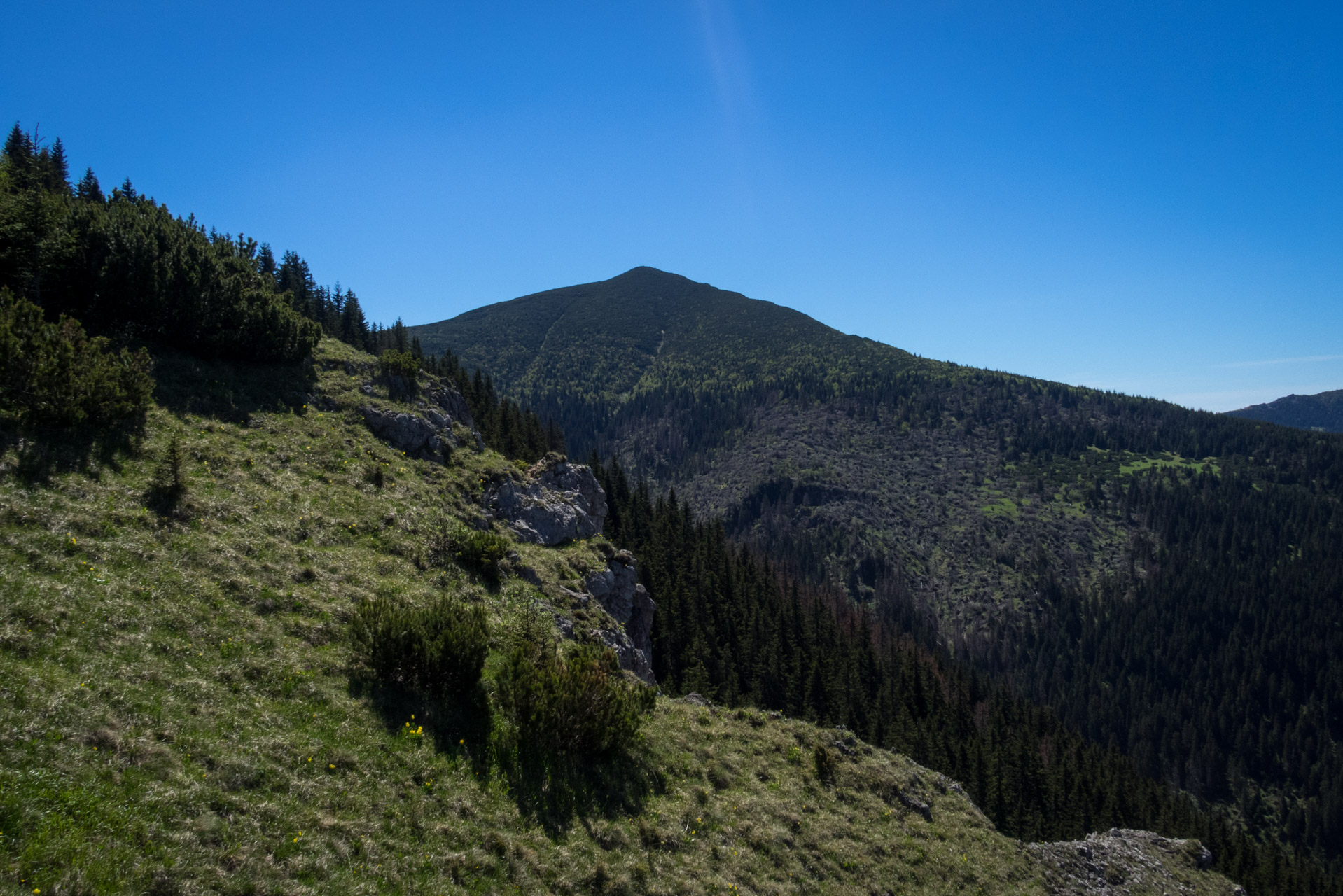 Sivý vrch od horárne Biela skala (Západné Tatry)