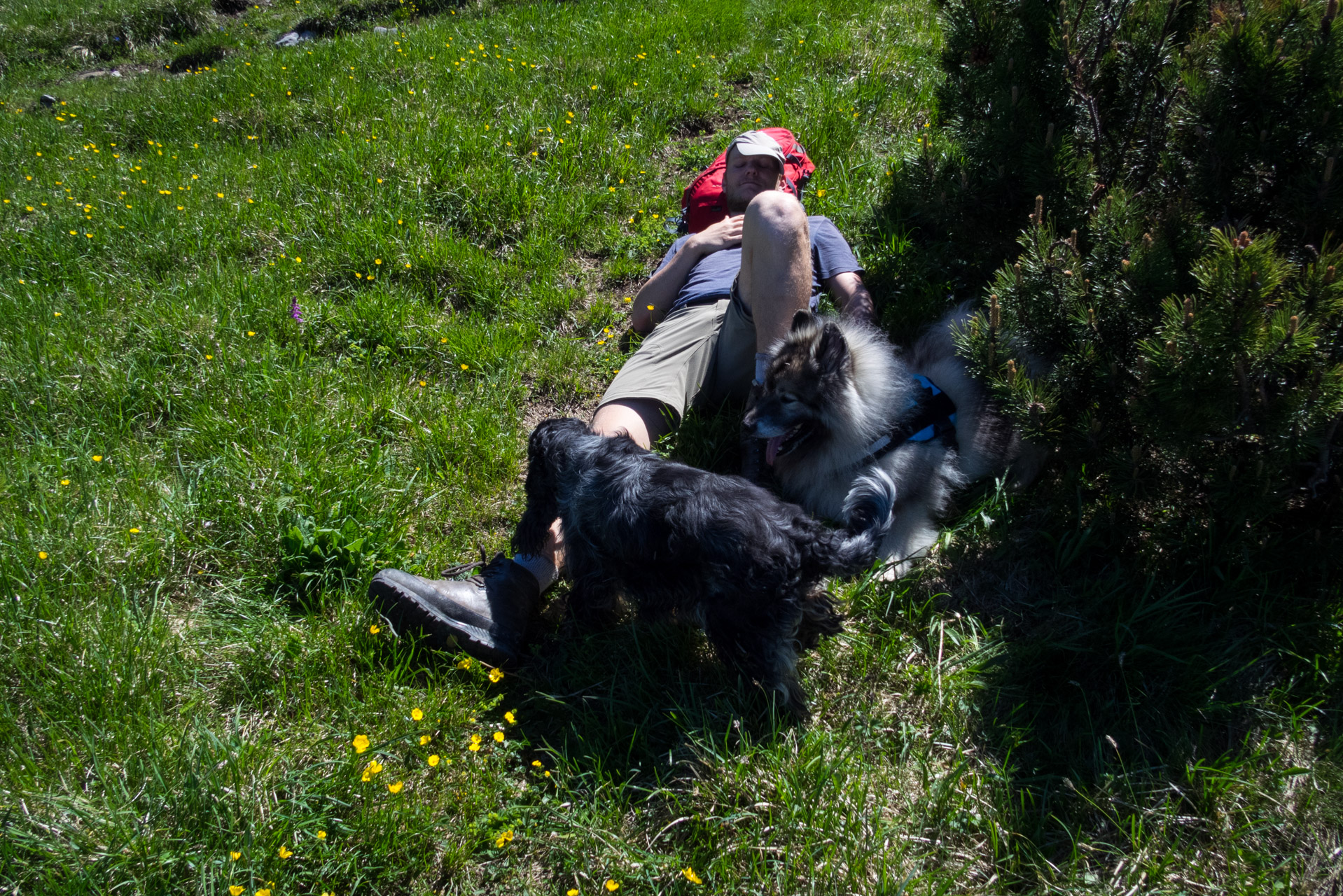 Sivý vrch od horárne Biela skala (Západné Tatry)