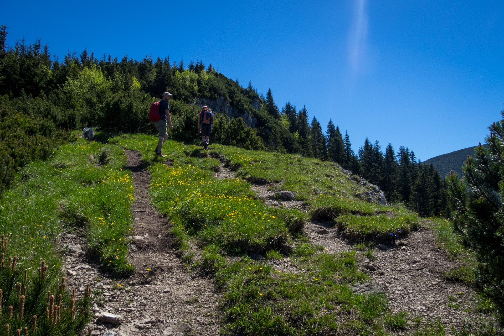 Sivý vrch od horárne Biela skala (Západné Tatry)