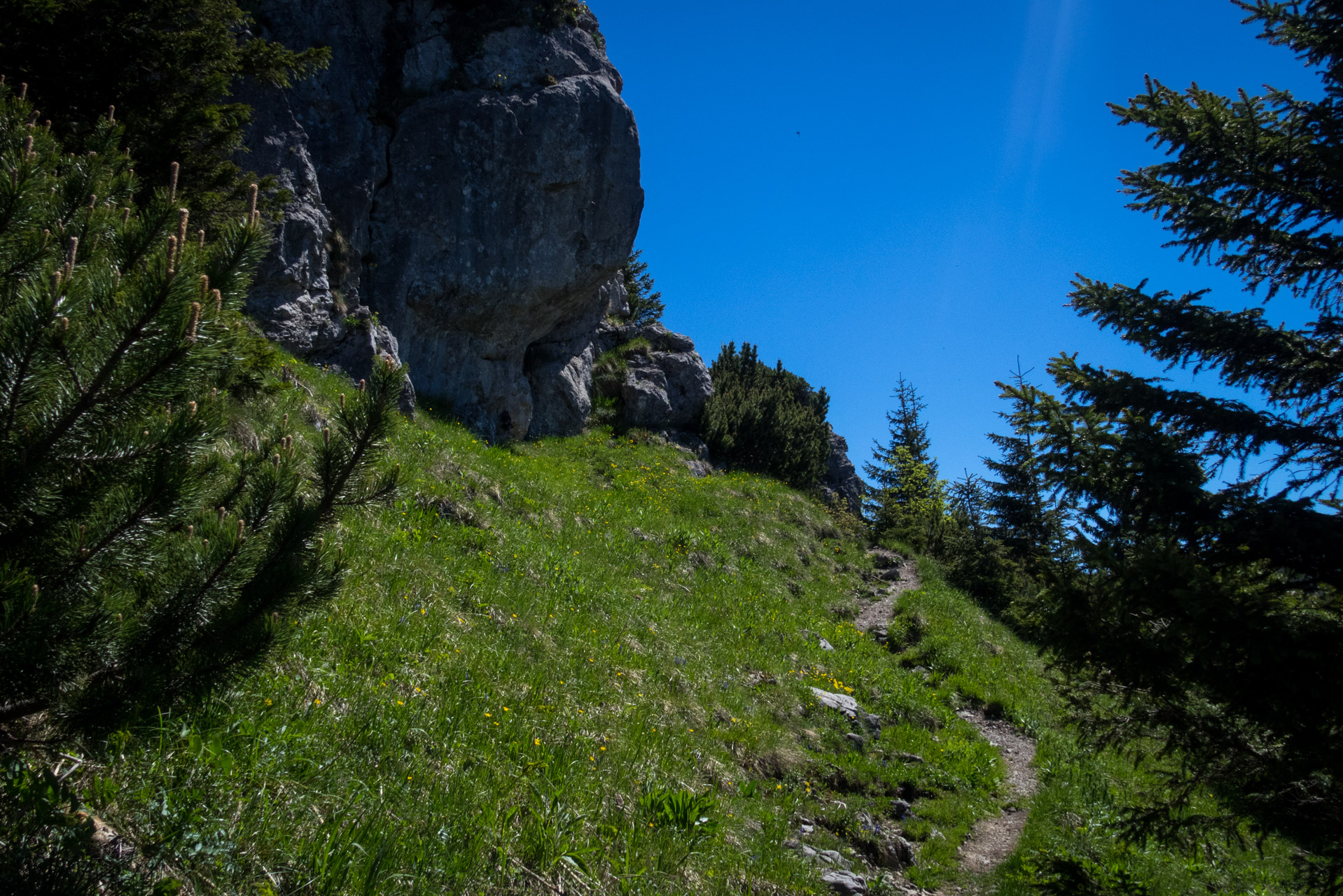 Sivý vrch od horárne Biela skala (Západné Tatry)