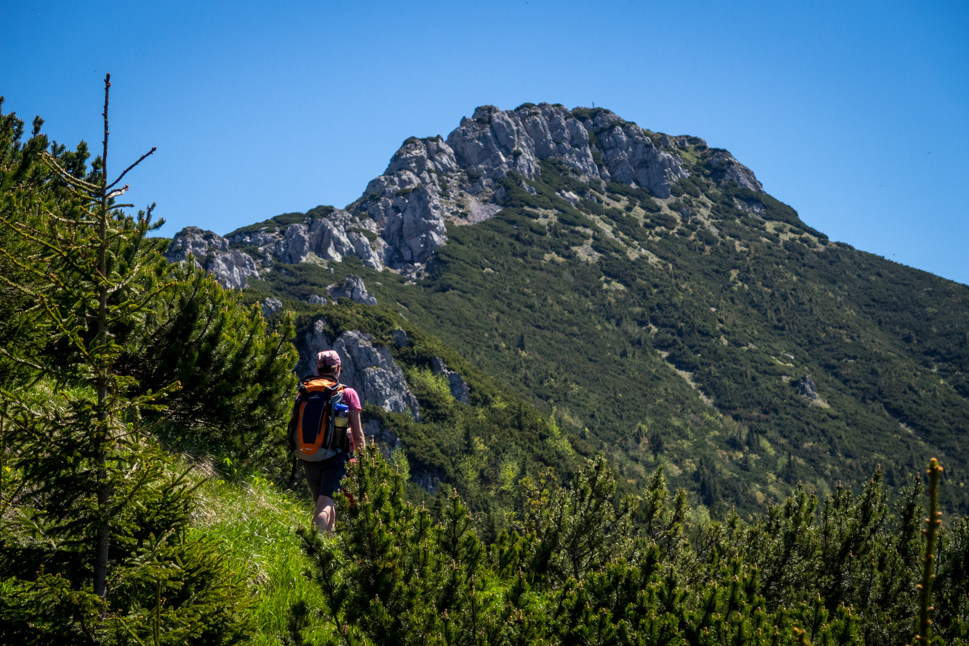 Sivý vrch od horárne Biela skala (Západné Tatry)