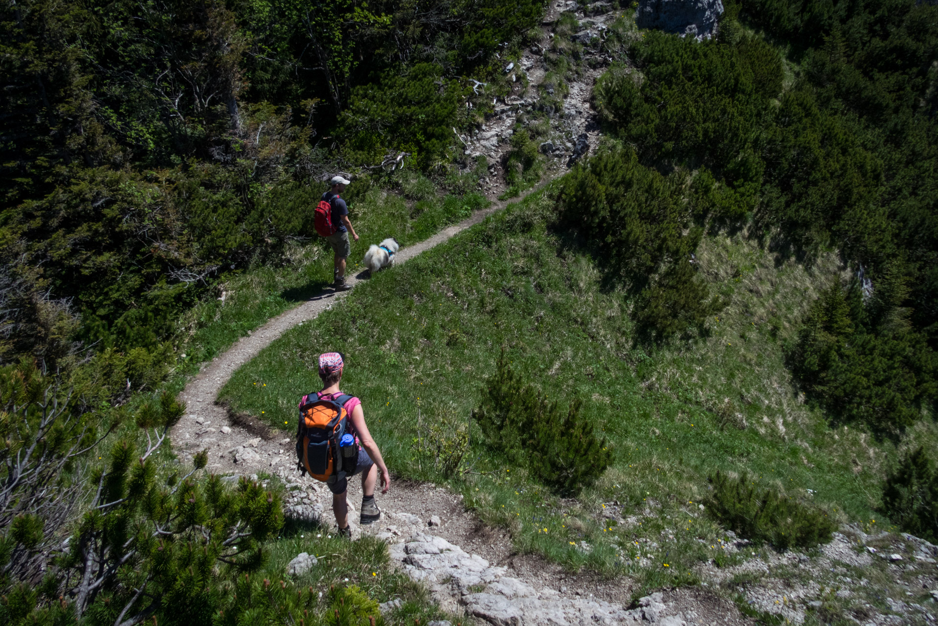 Sivý vrch od horárne Biela skala (Západné Tatry)