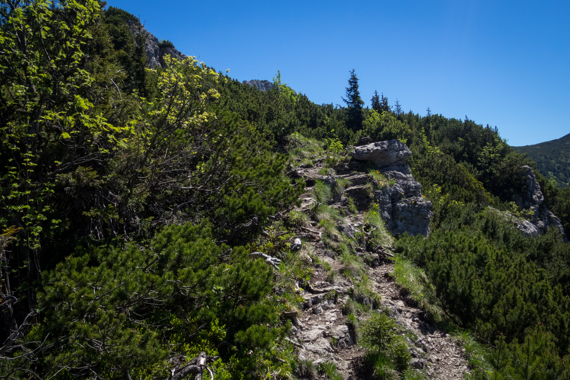 Sivý vrch od horárne Biela skala (Západné Tatry)