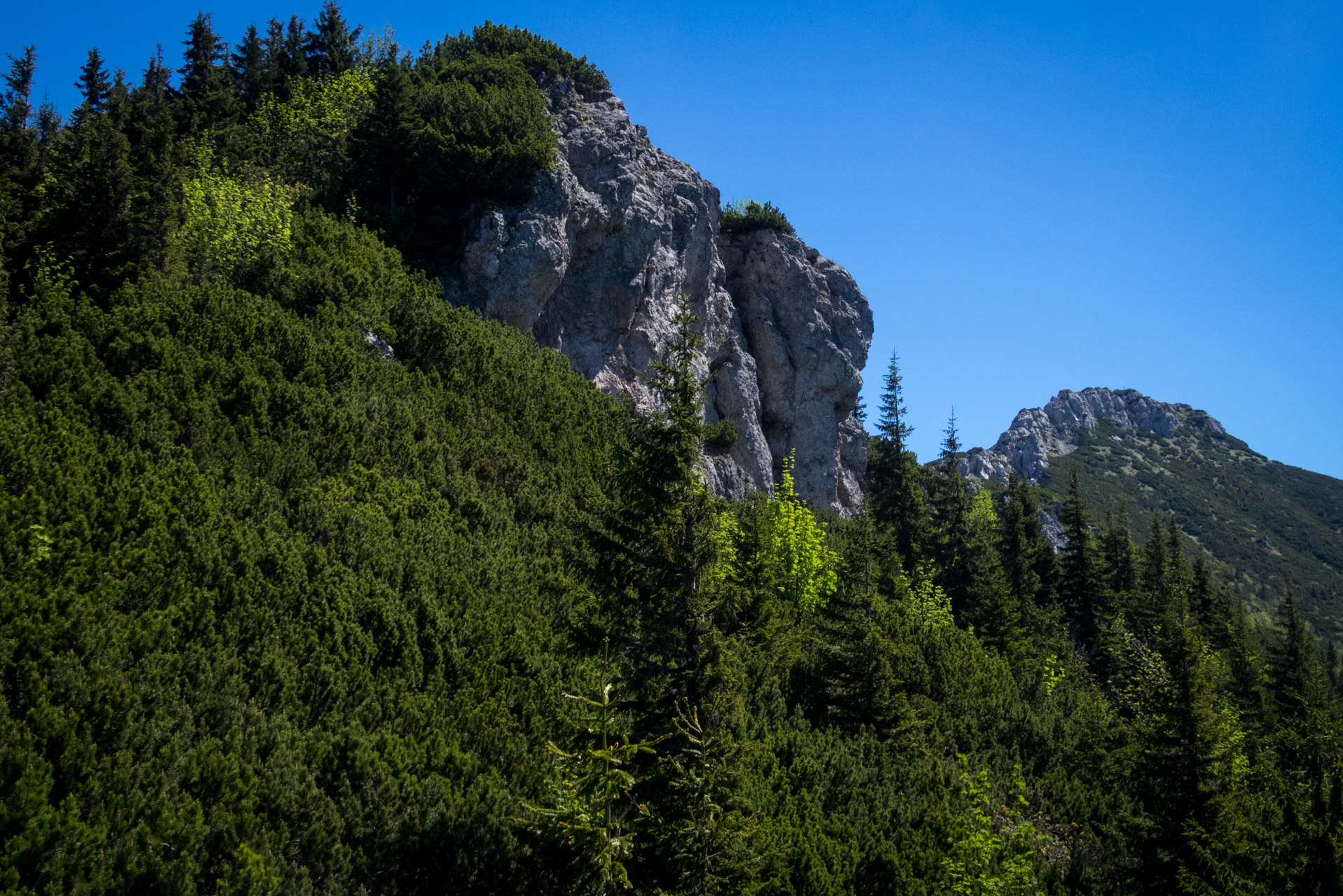 Sivý vrch od horárne Biela skala (Západné Tatry)