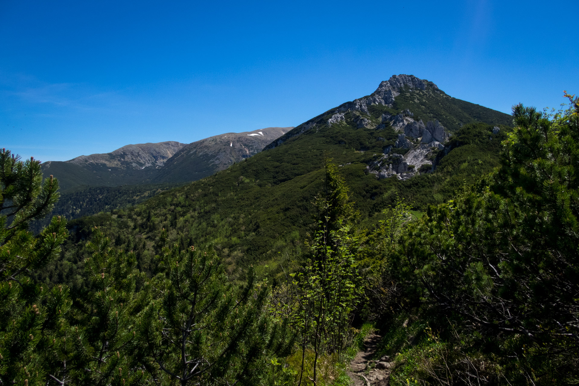 Sivý vrch od horárne Biela skala (Západné Tatry)