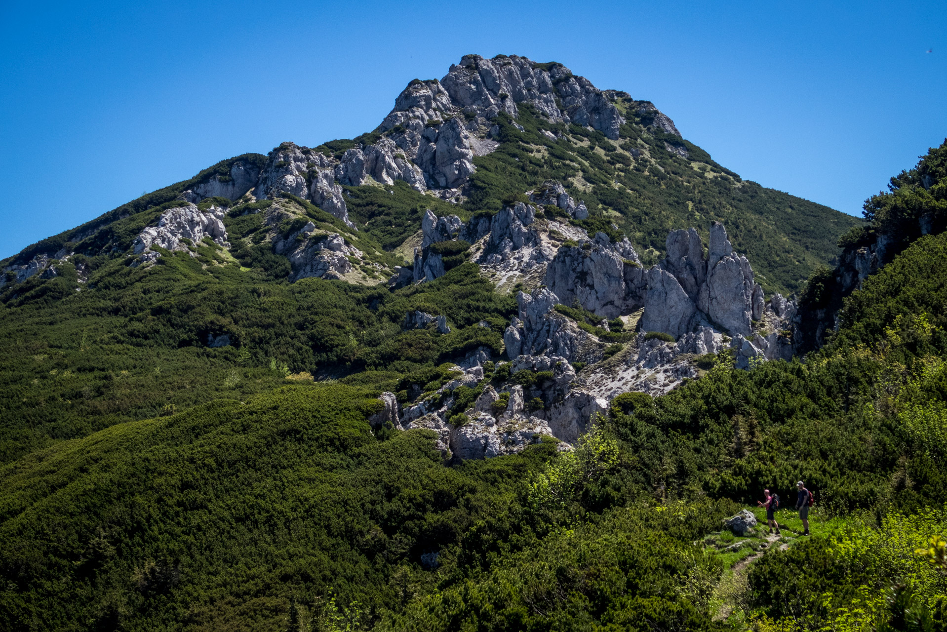 Sivý vrch od horárne Biela skala (Západné Tatry)