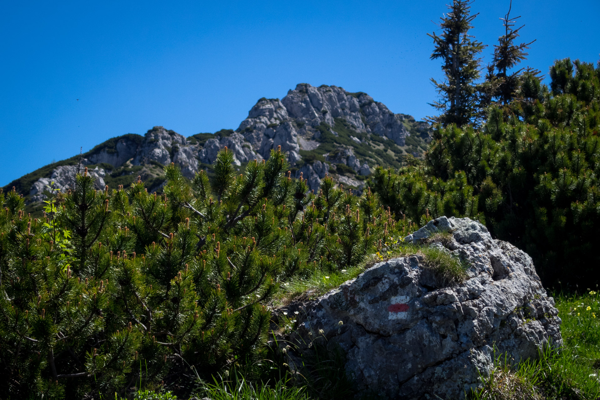 Sivý vrch od horárne Biela skala (Západné Tatry)