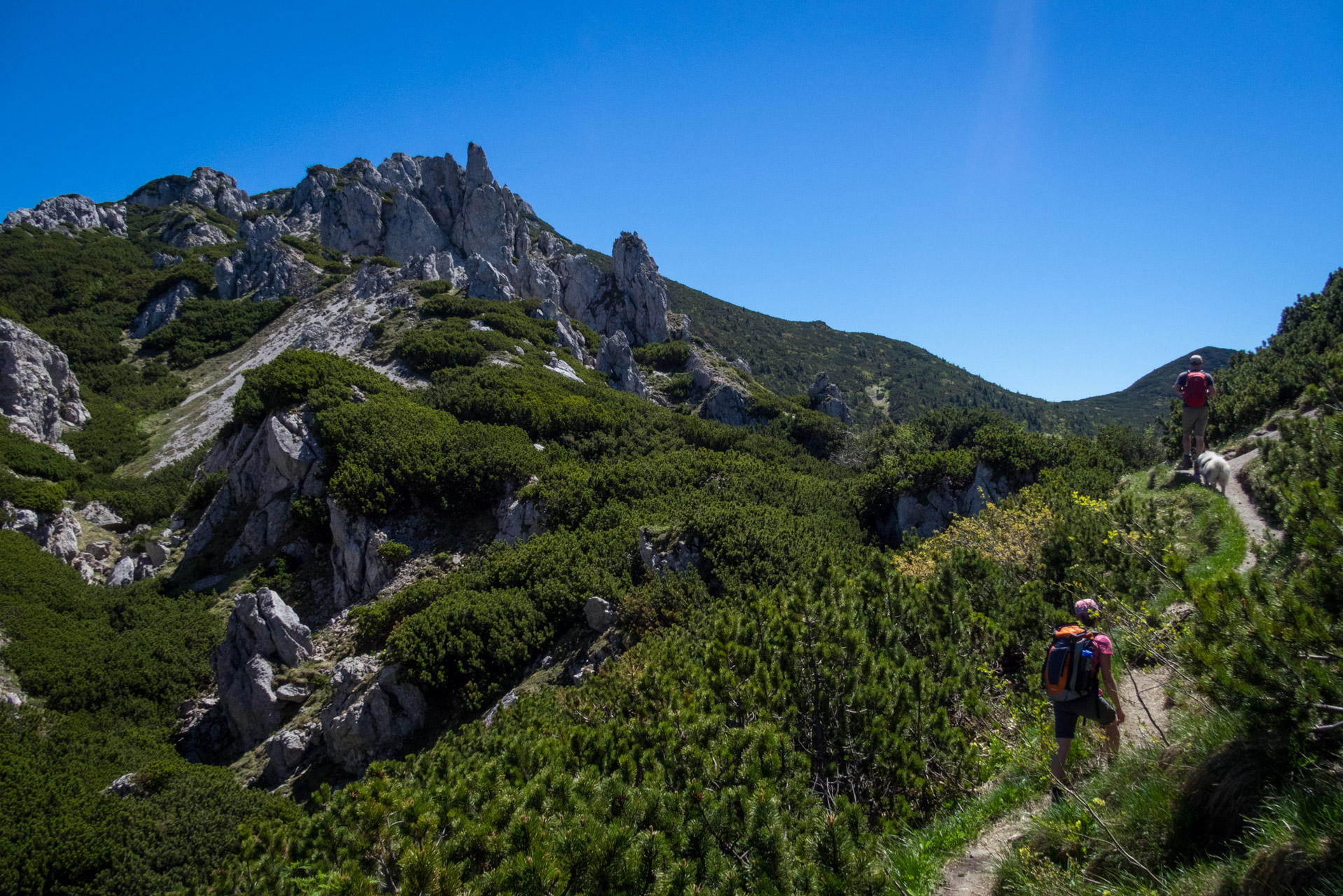 Sivý vrch od horárne Biela skala (Západné Tatry)