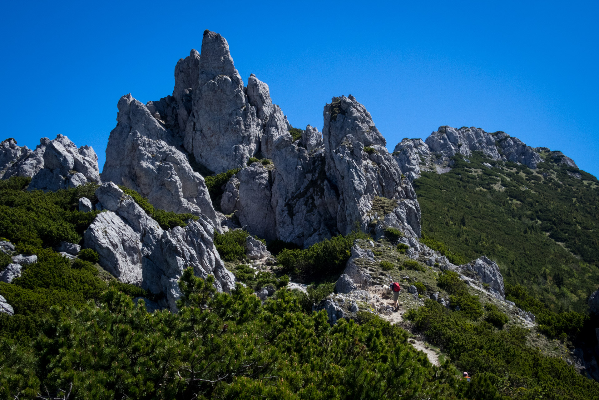 Sivý vrch od horárne Biela skala (Západné Tatry)