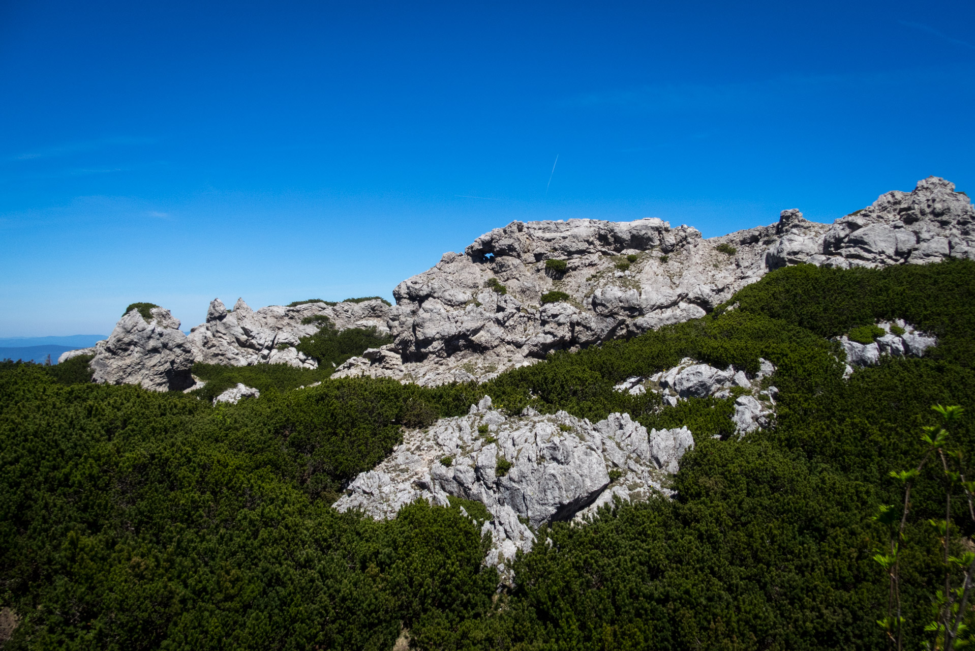 Sivý vrch od horárne Biela skala (Západné Tatry)