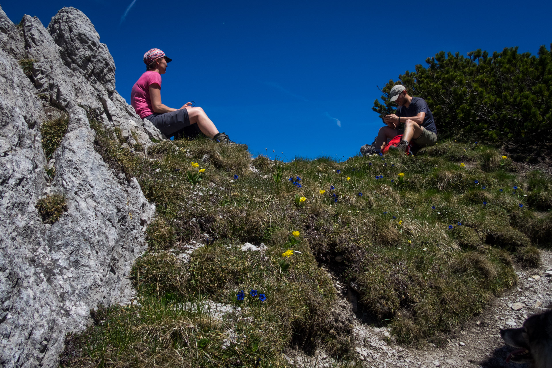 Sivý vrch od horárne Biela skala (Západné Tatry)