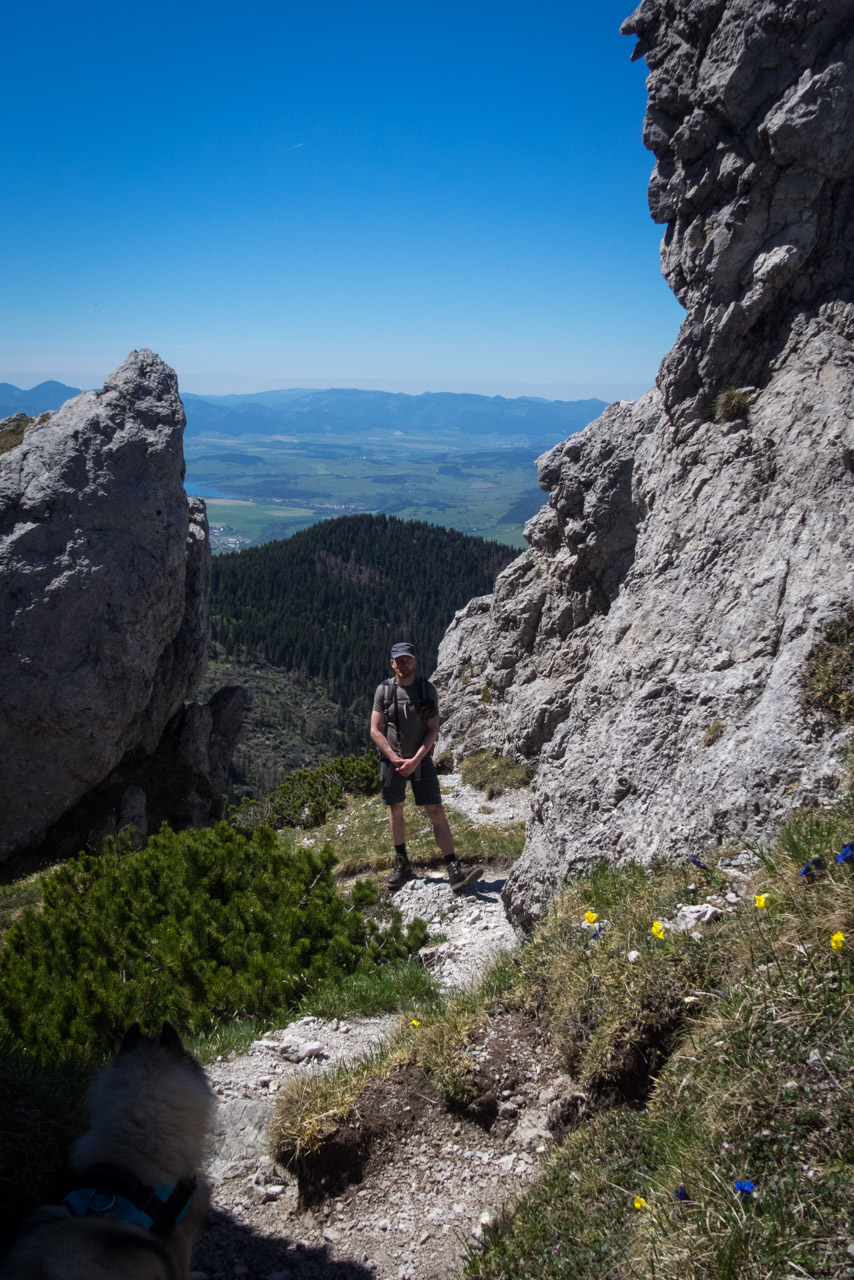 Sivý vrch od horárne Biela skala (Západné Tatry)