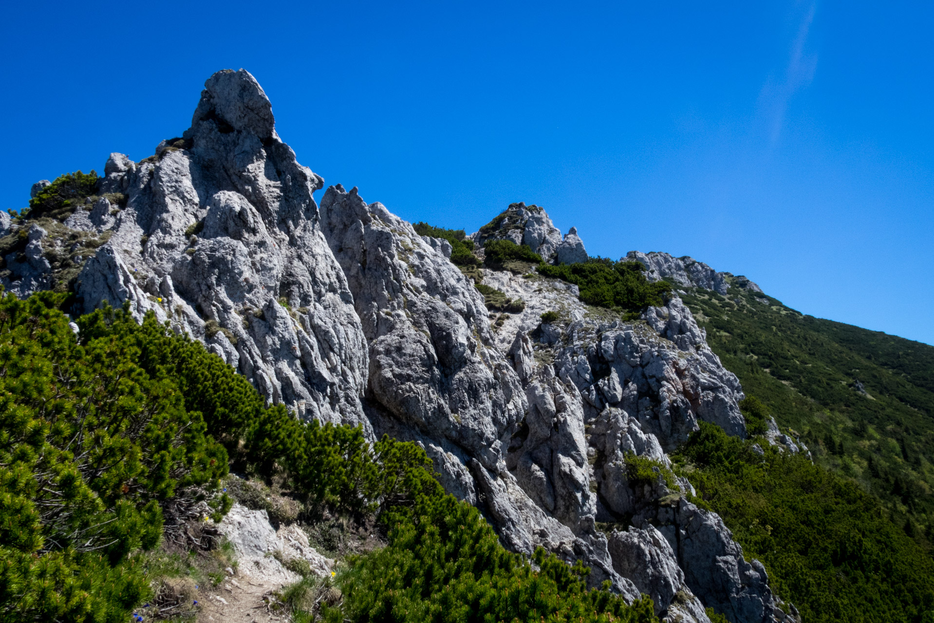 Sivý vrch od horárne Biela skala (Západné Tatry)