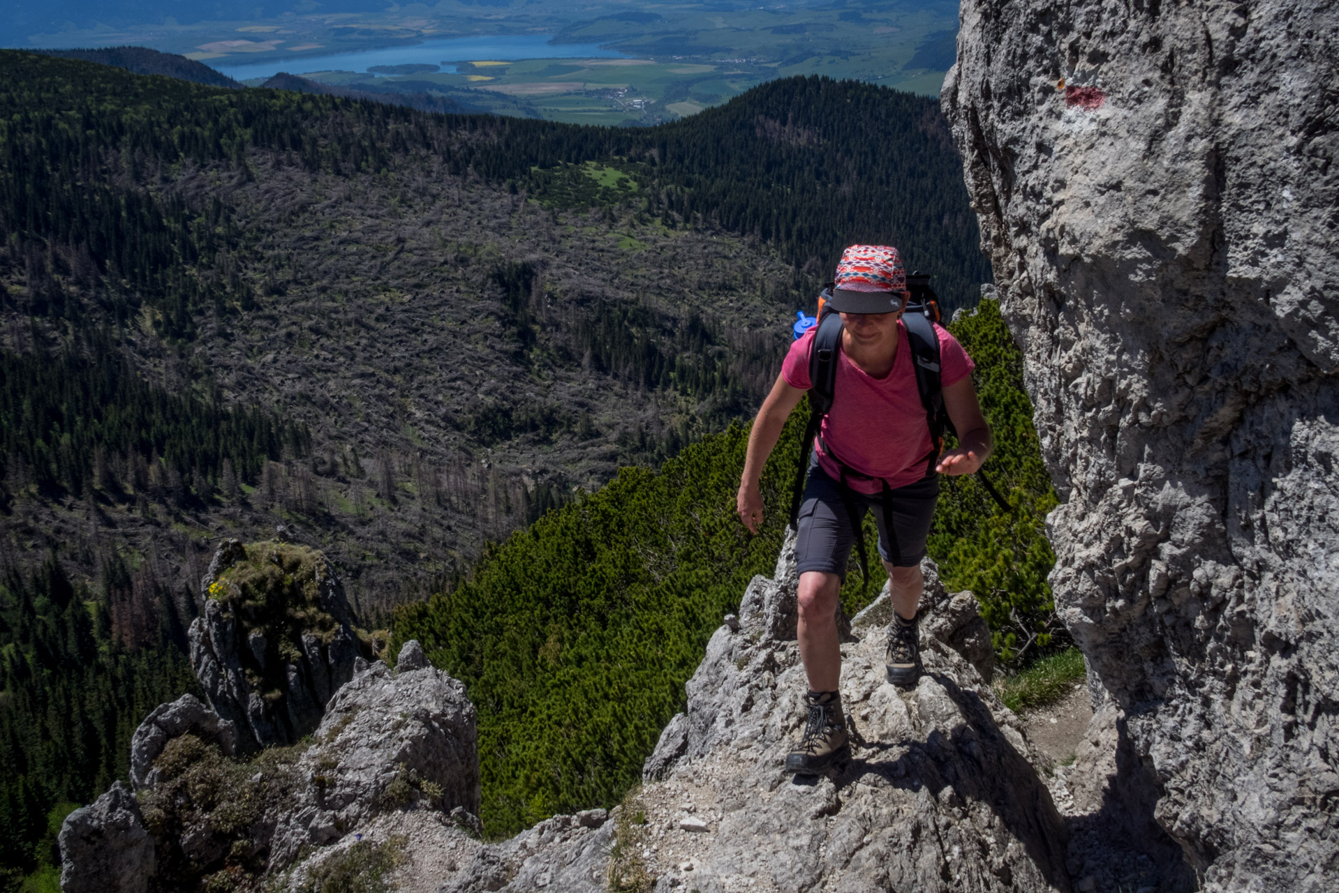 Sivý vrch od horárne Biela skala (Západné Tatry)