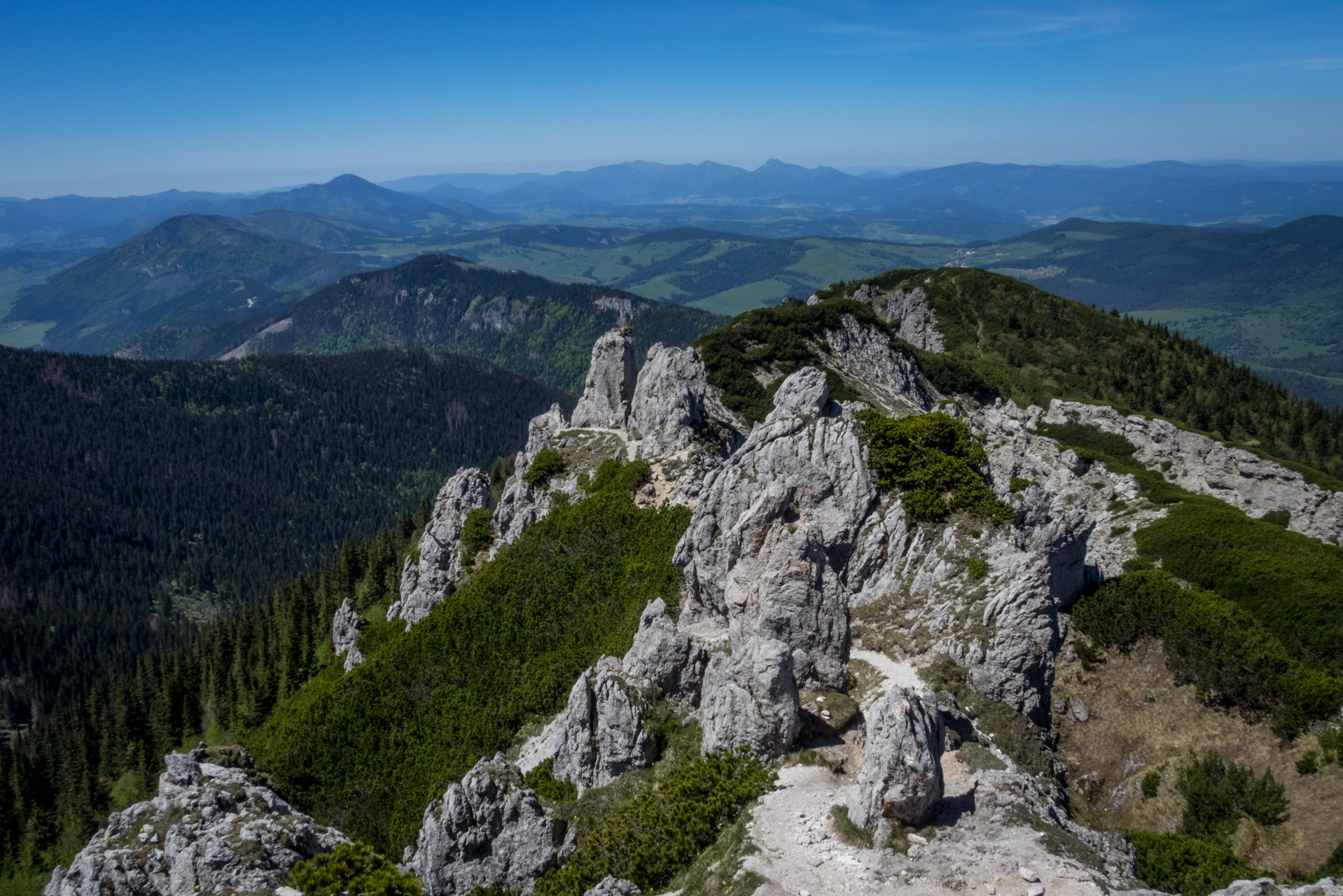 Sivý vrch od horárne Biela skala (Západné Tatry)