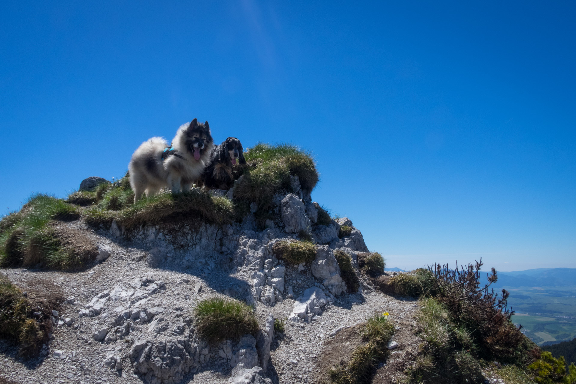 Sivý vrch od horárne Biela skala (Západné Tatry)