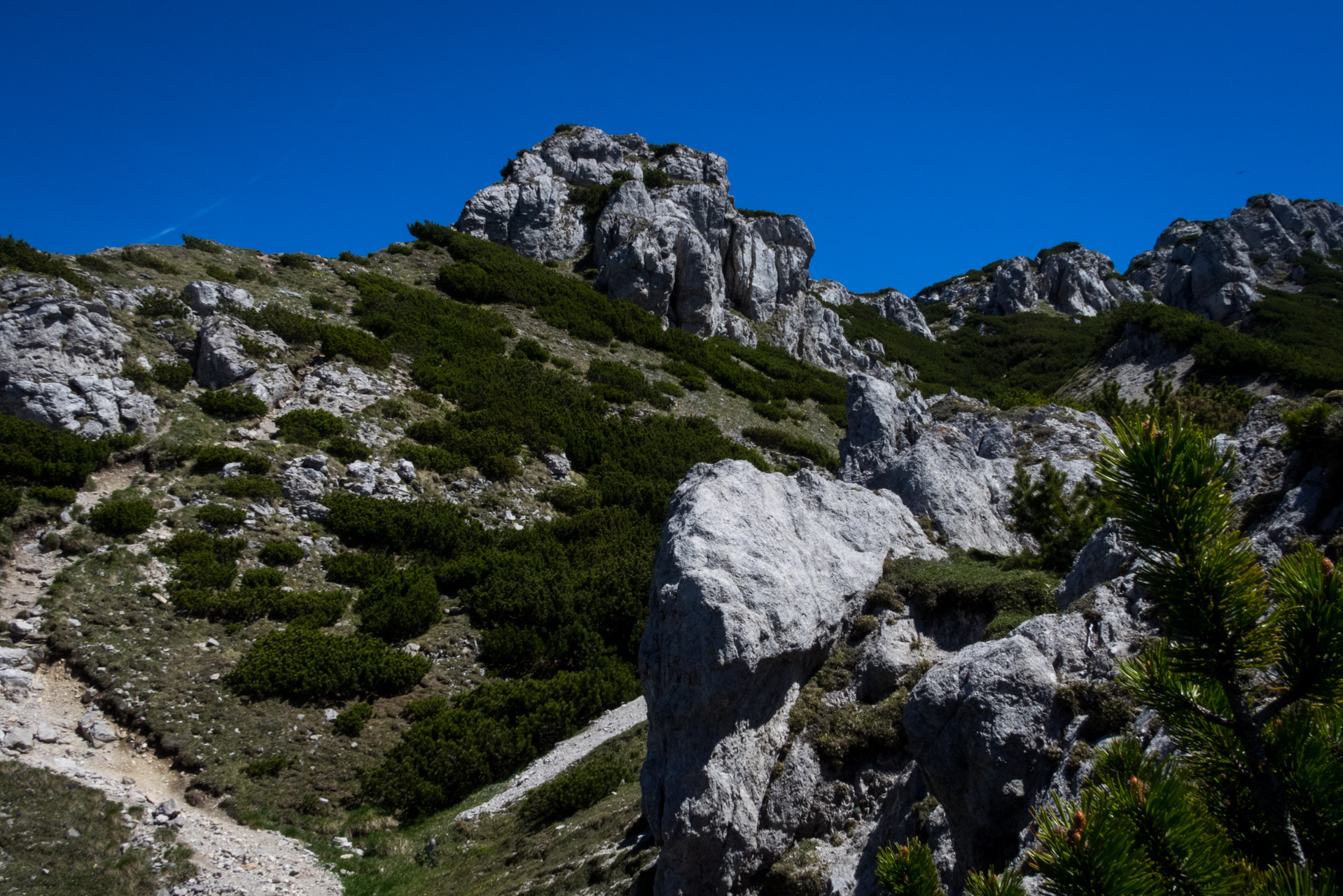 Sivý vrch od horárne Biela skala (Západné Tatry)