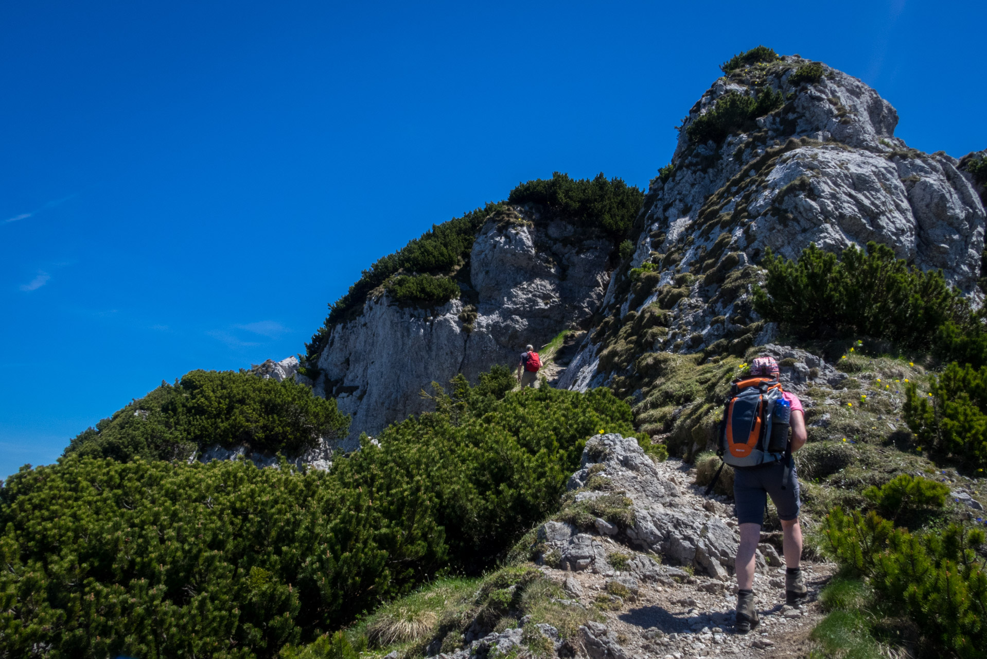 Sivý vrch od horárne Biela skala (Západné Tatry)