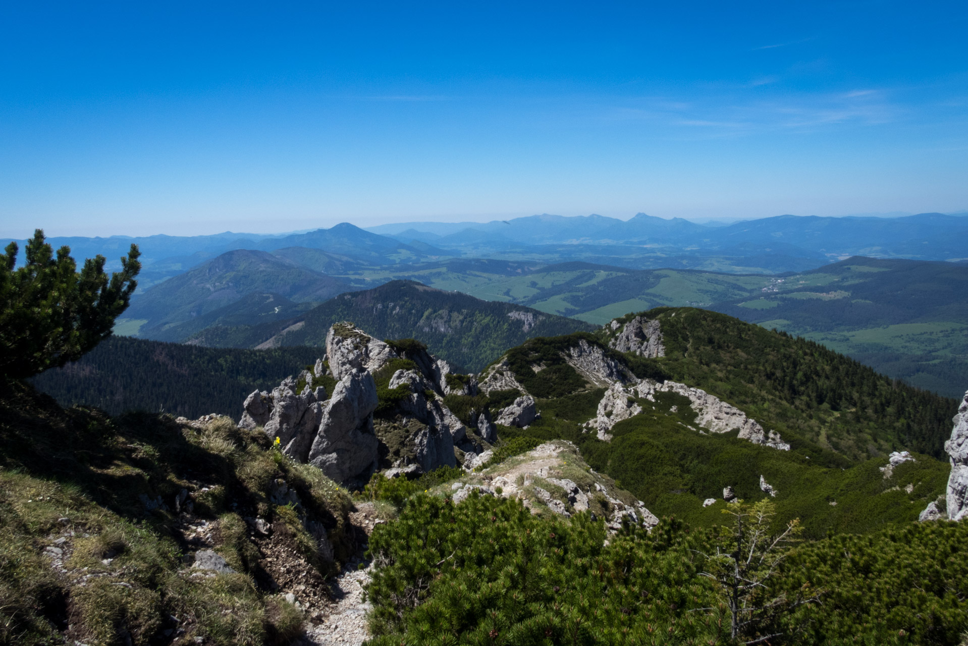 Sivý vrch od horárne Biela skala (Západné Tatry)