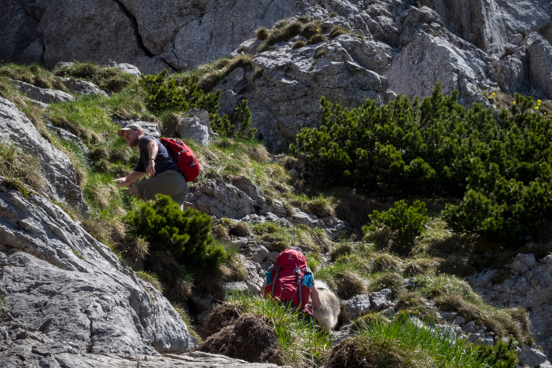 Sivý vrch od horárne Biela skala (Západné Tatry)