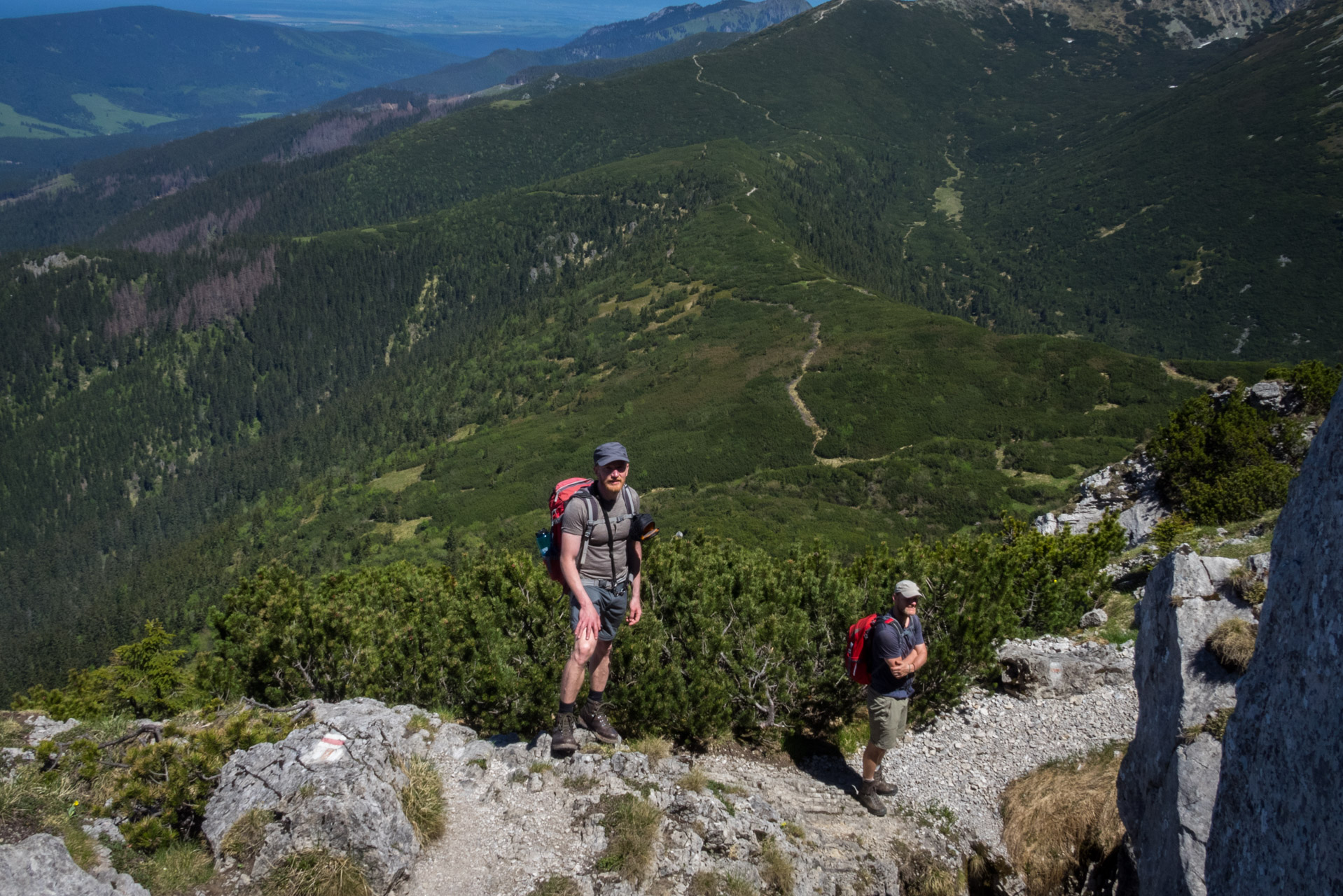 Sivý vrch od horárne Biela skala (Západné Tatry)