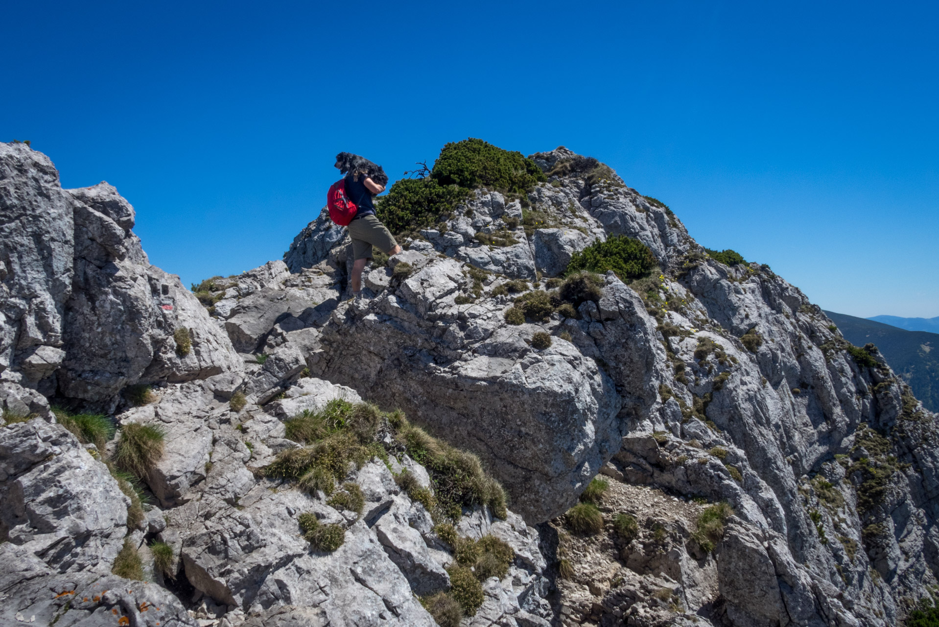 Sivý vrch od horárne Biela skala (Západné Tatry)