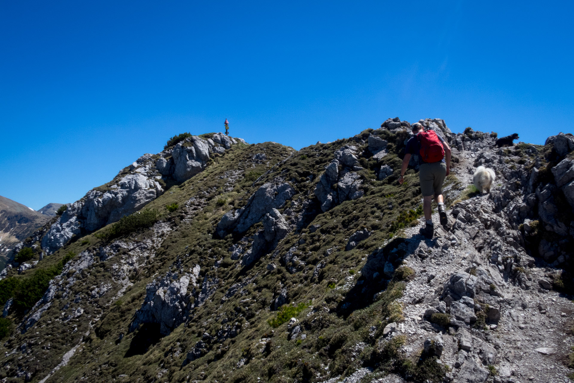 Sivý vrch od horárne Biela skala (Západné Tatry)