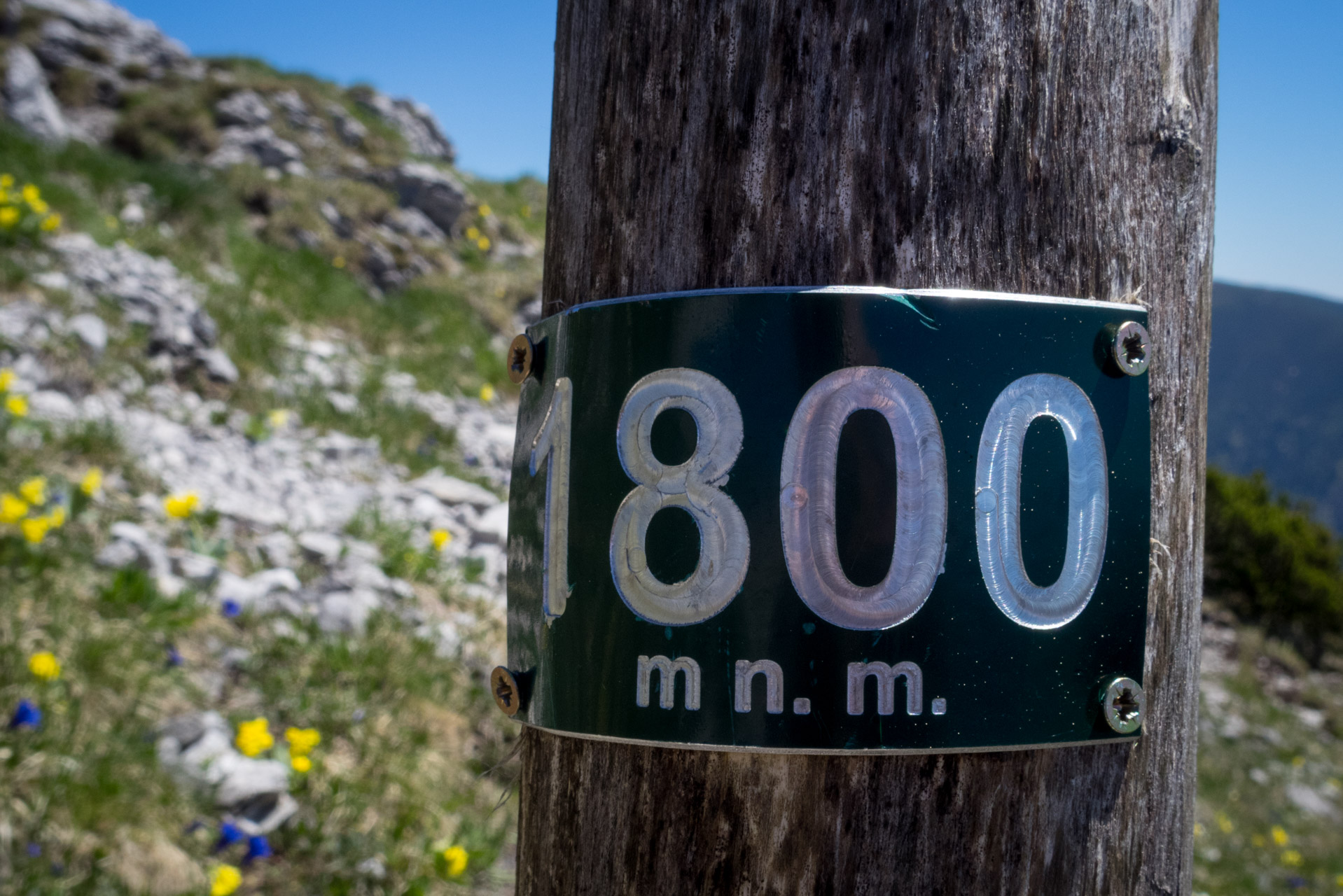 Sivý vrch od horárne Biela skala (Západné Tatry)