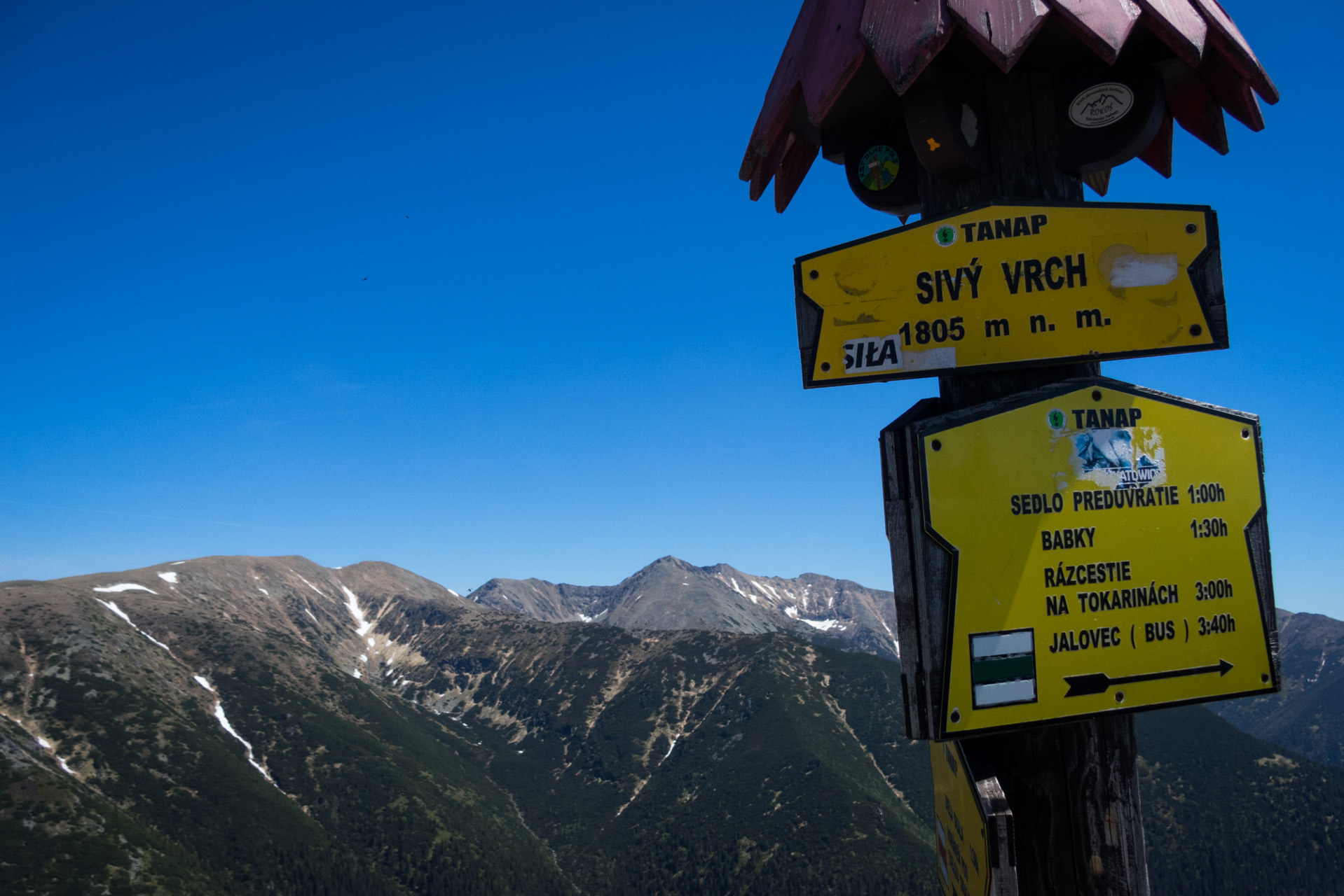 Sivý vrch od horárne Biela skala (Západné Tatry)