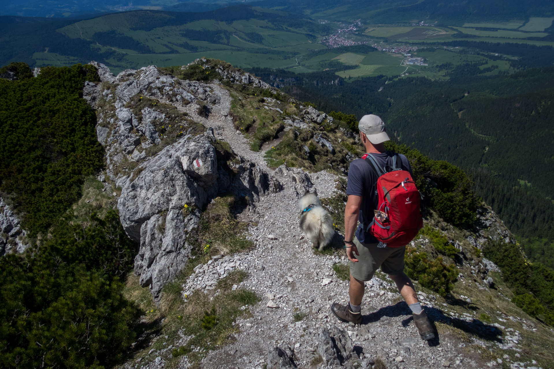 Sivý vrch od horárne Biela skala (Západné Tatry)