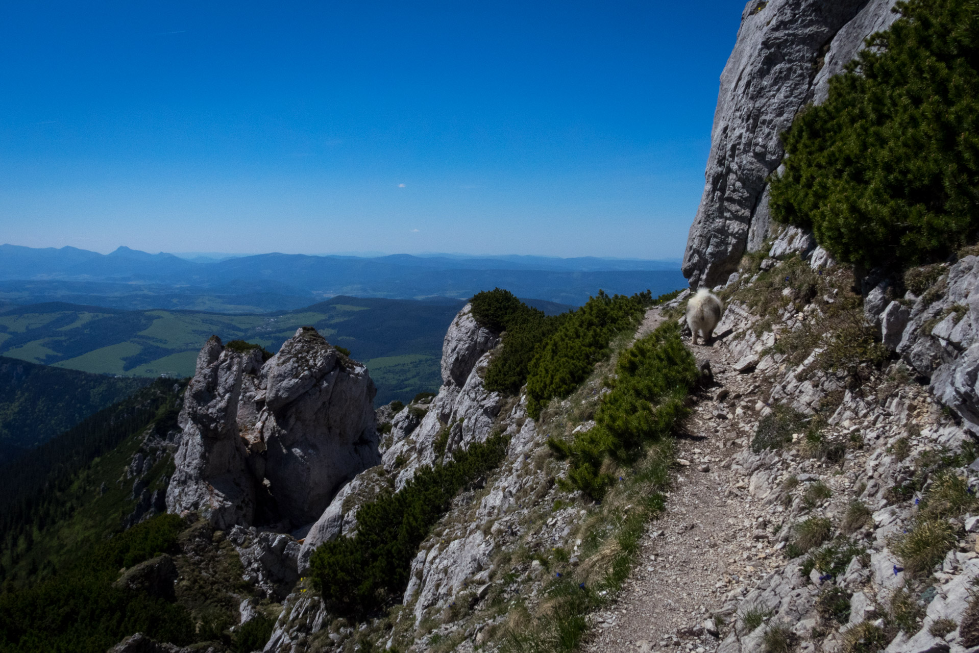 Sivý vrch od horárne Biela skala (Západné Tatry)