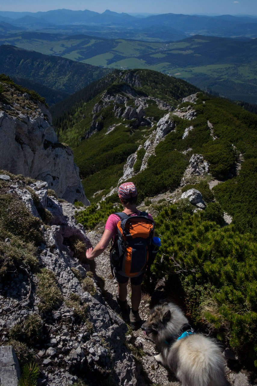 Sivý vrch od horárne Biela skala (Západné Tatry)