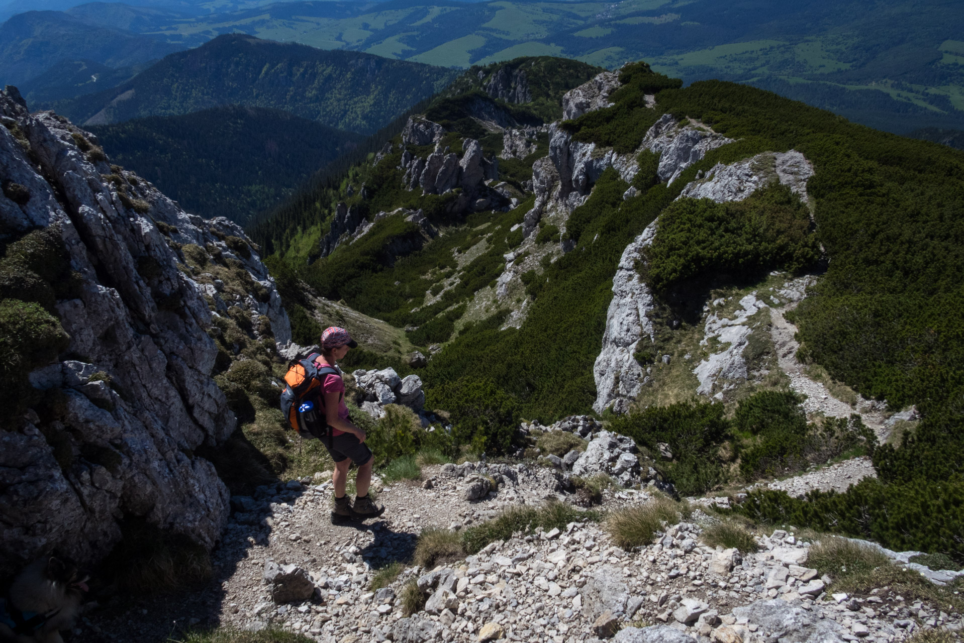 Sivý vrch od horárne Biela skala (Západné Tatry)