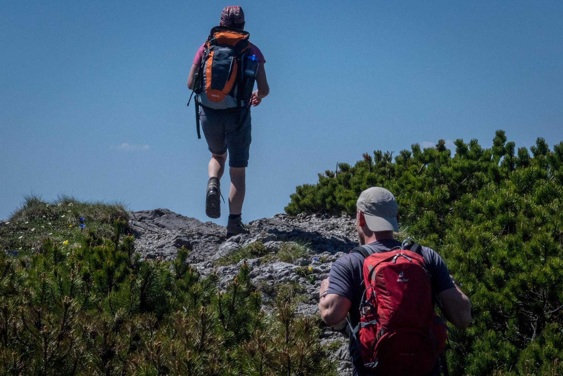 Sivý vrch od horárne Biela skala (Západné Tatry)