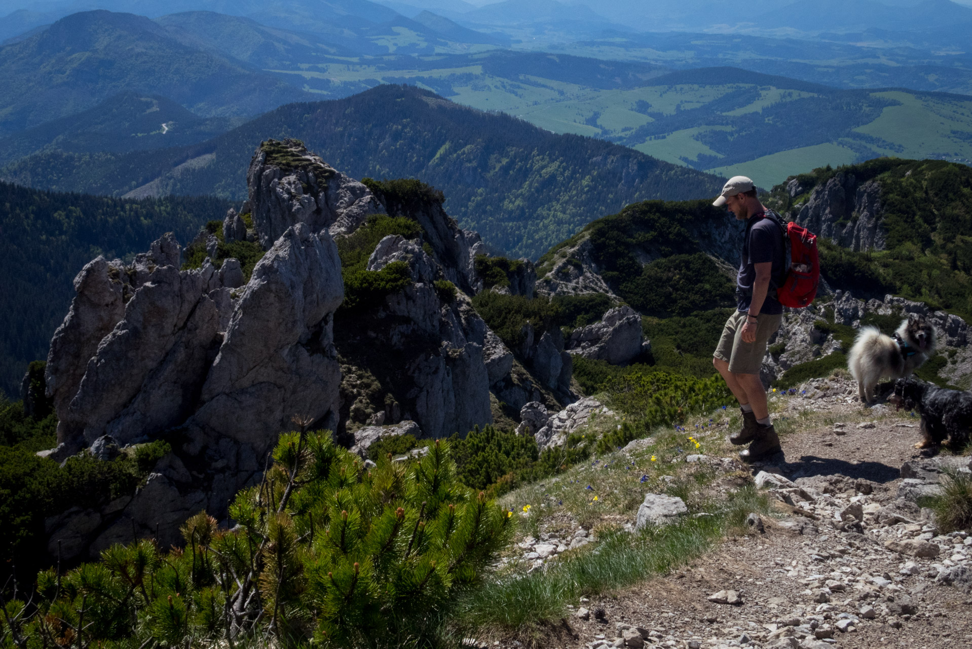 Sivý vrch od horárne Biela skala (Západné Tatry)