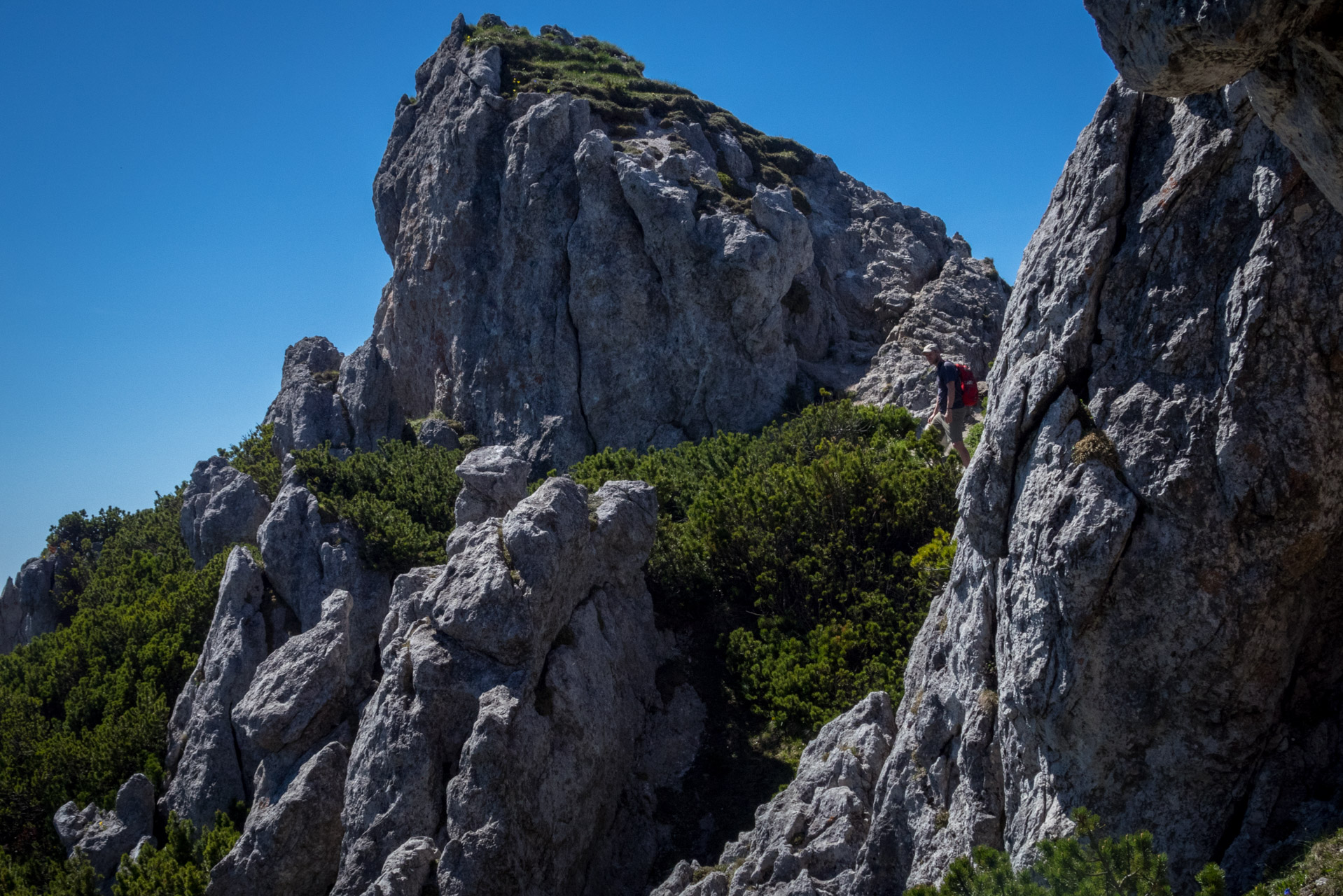 Sivý vrch od horárne Biela skala (Západné Tatry)