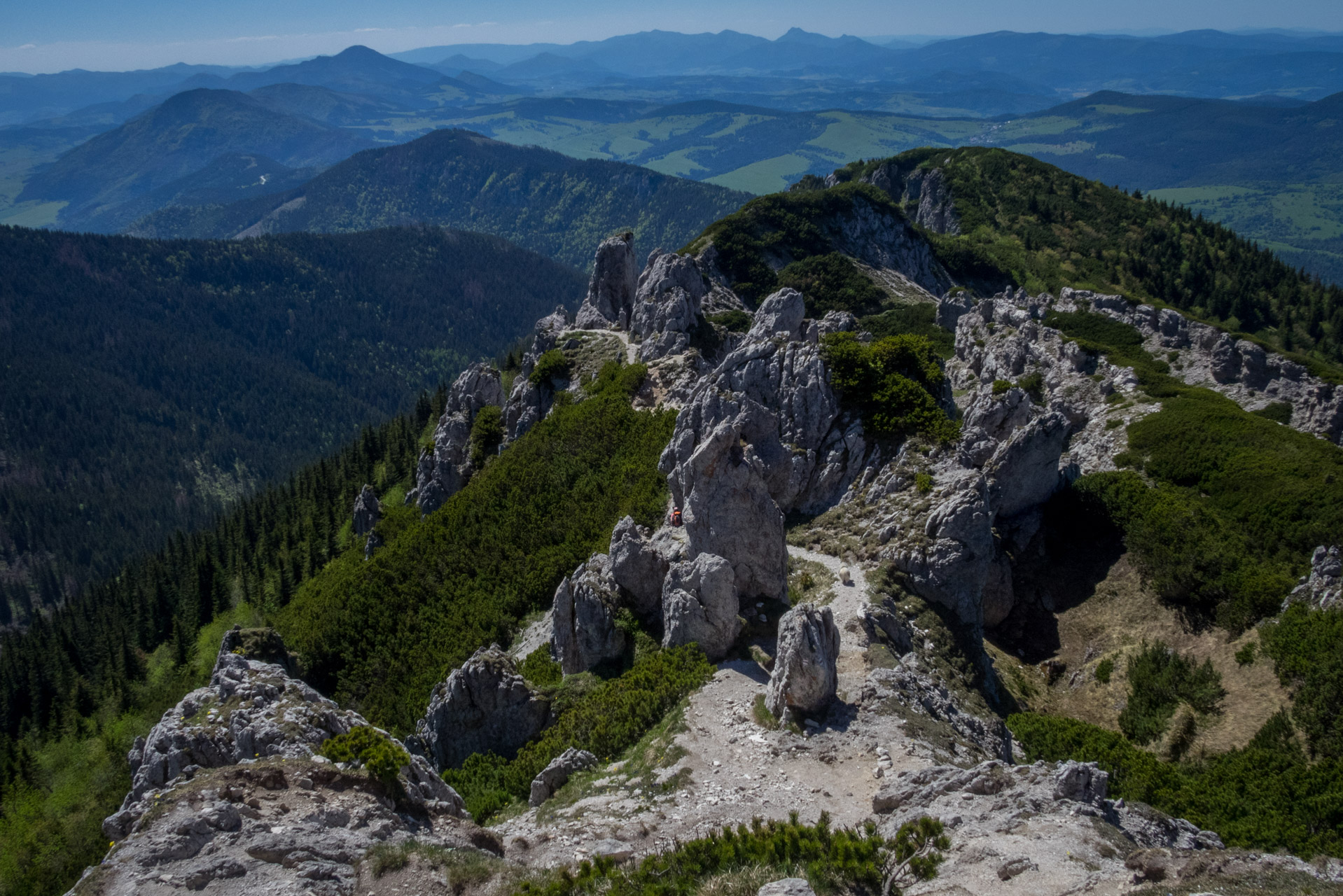 Sivý vrch od horárne Biela skala (Západné Tatry)