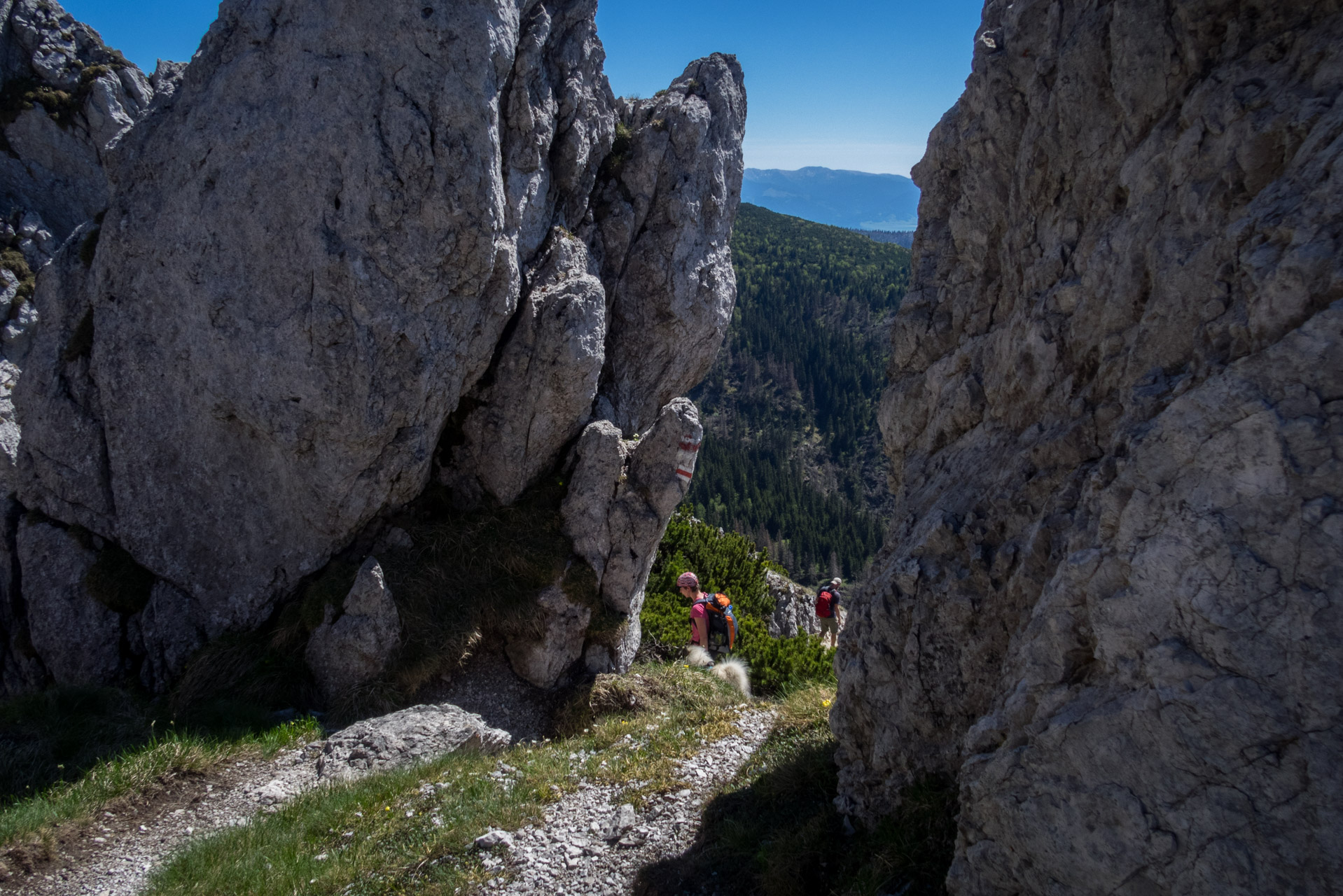 Sivý vrch od horárne Biela skala (Západné Tatry)