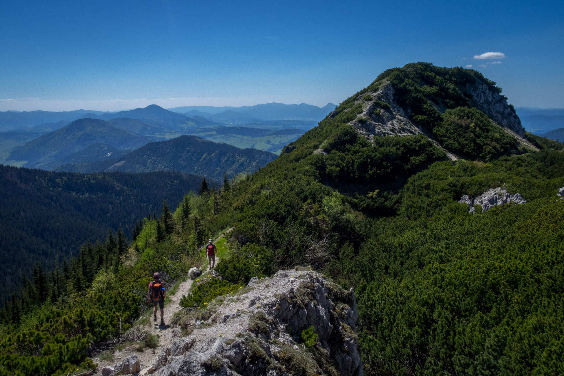 Sivý vrch od horárne Biela skala (Západné Tatry)