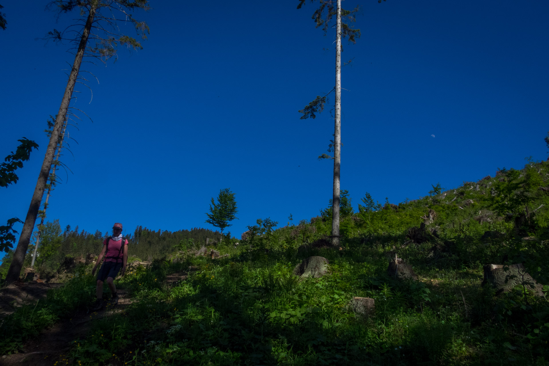 Sivý vrch od horárne Biela skala (Západné Tatry)