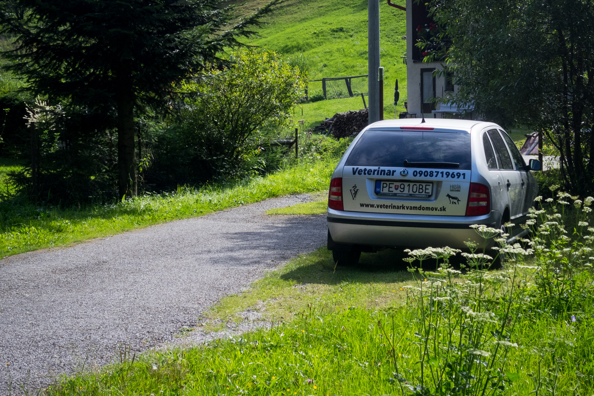 Skalisko z Henclovej (Volovské vrchy)