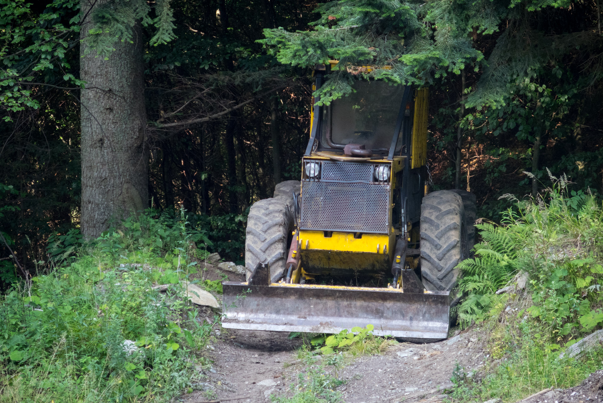 Skalisko z Henclovej (Volovské vrchy)