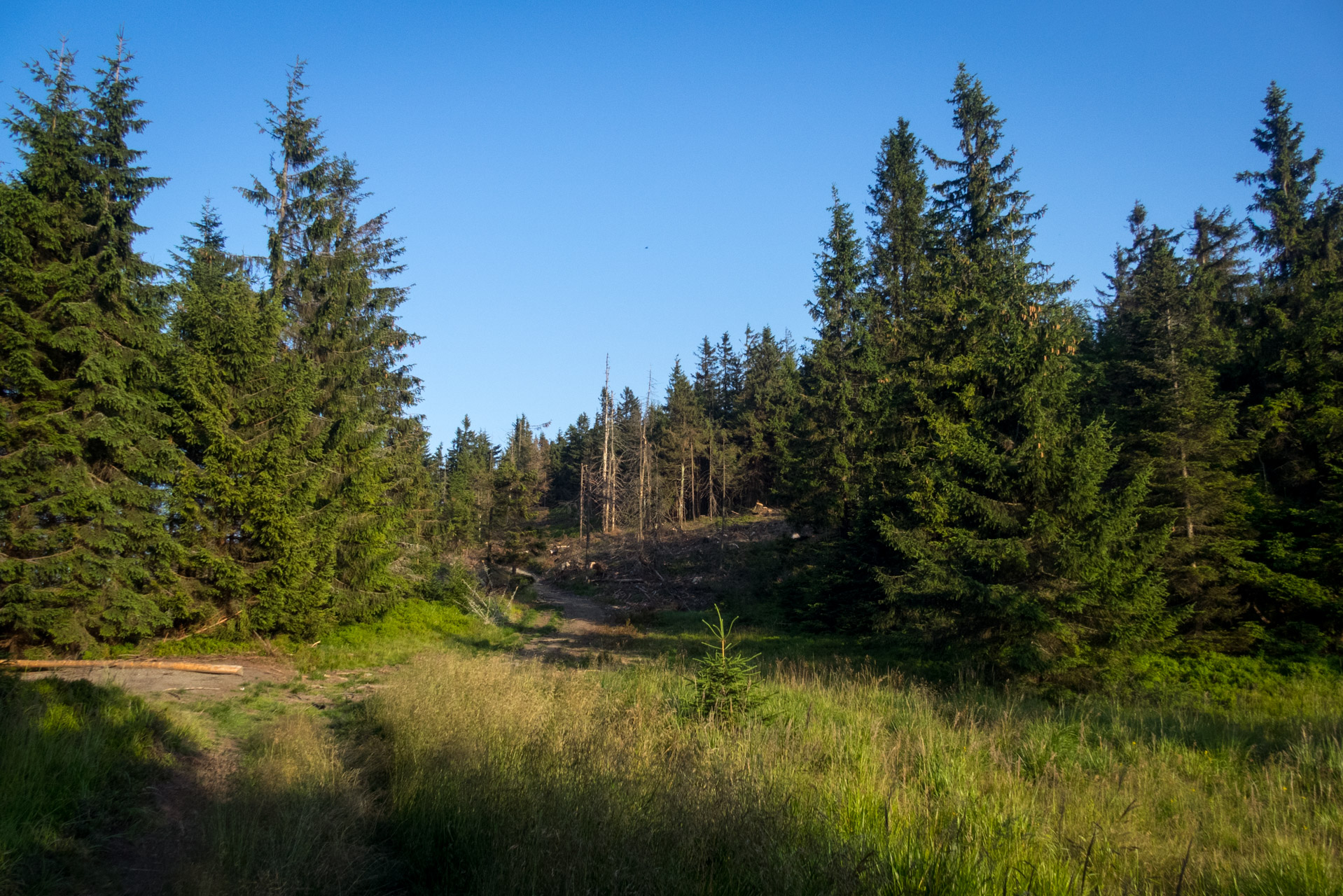 Skalisko z Henclovej (Volovské vrchy)