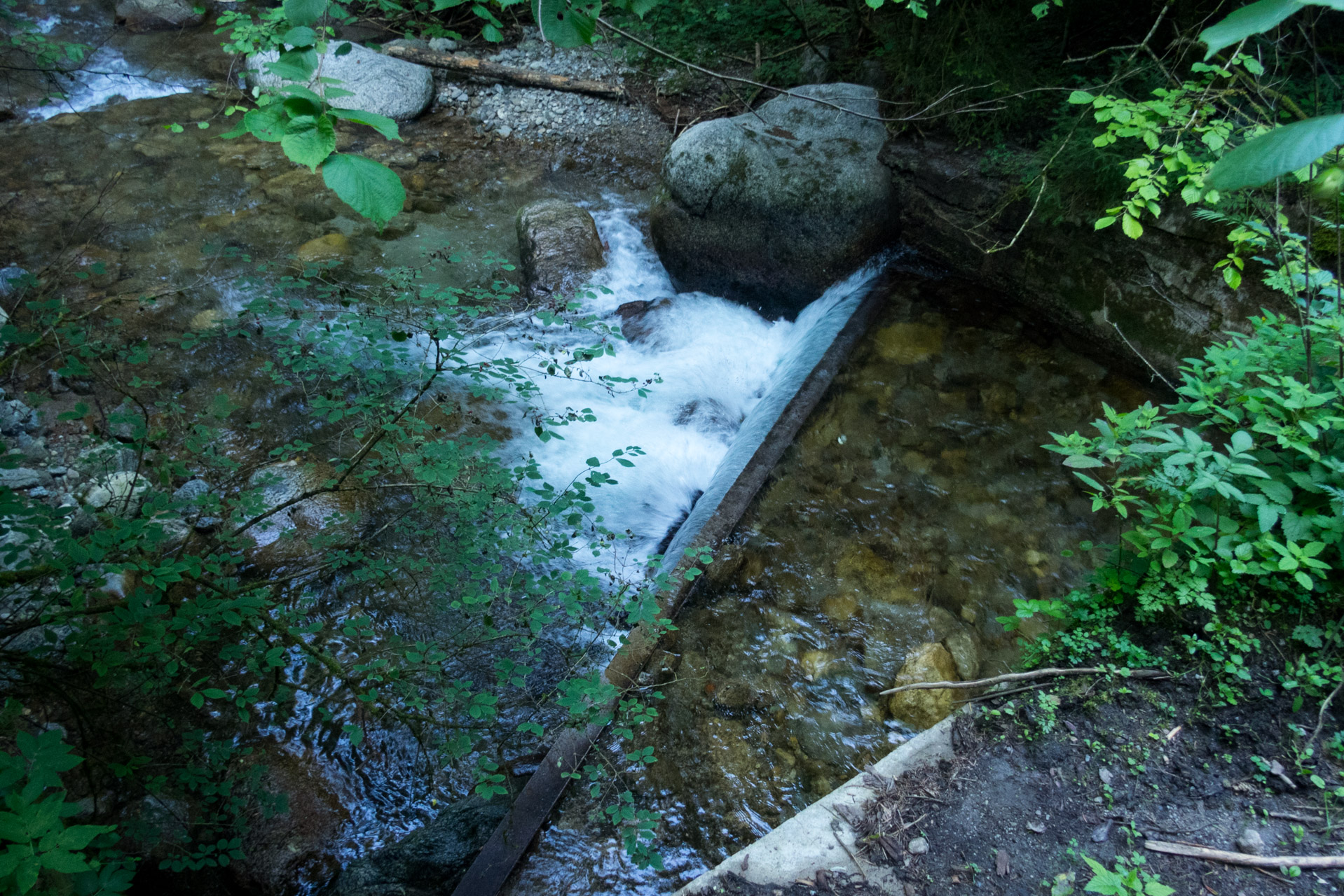 Skalka z Črmného (Nízke Tatry)